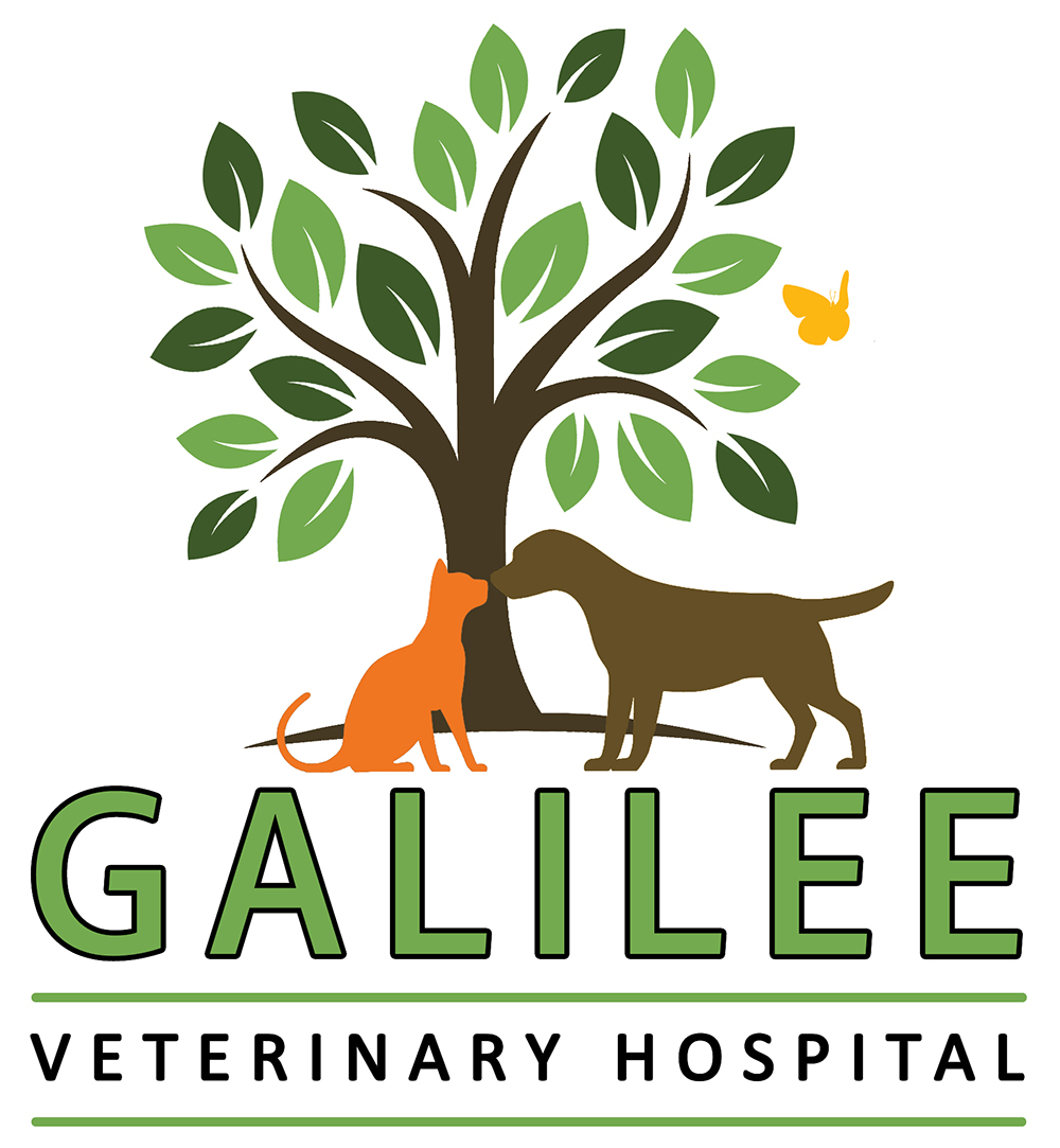 Galilee-Veterinary-Hospital-logo