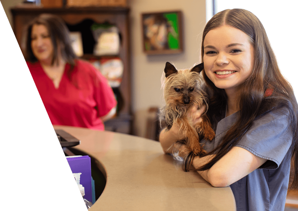 Vet Near Me Jefferson GA 30549 Galilee Veterinary Hospital