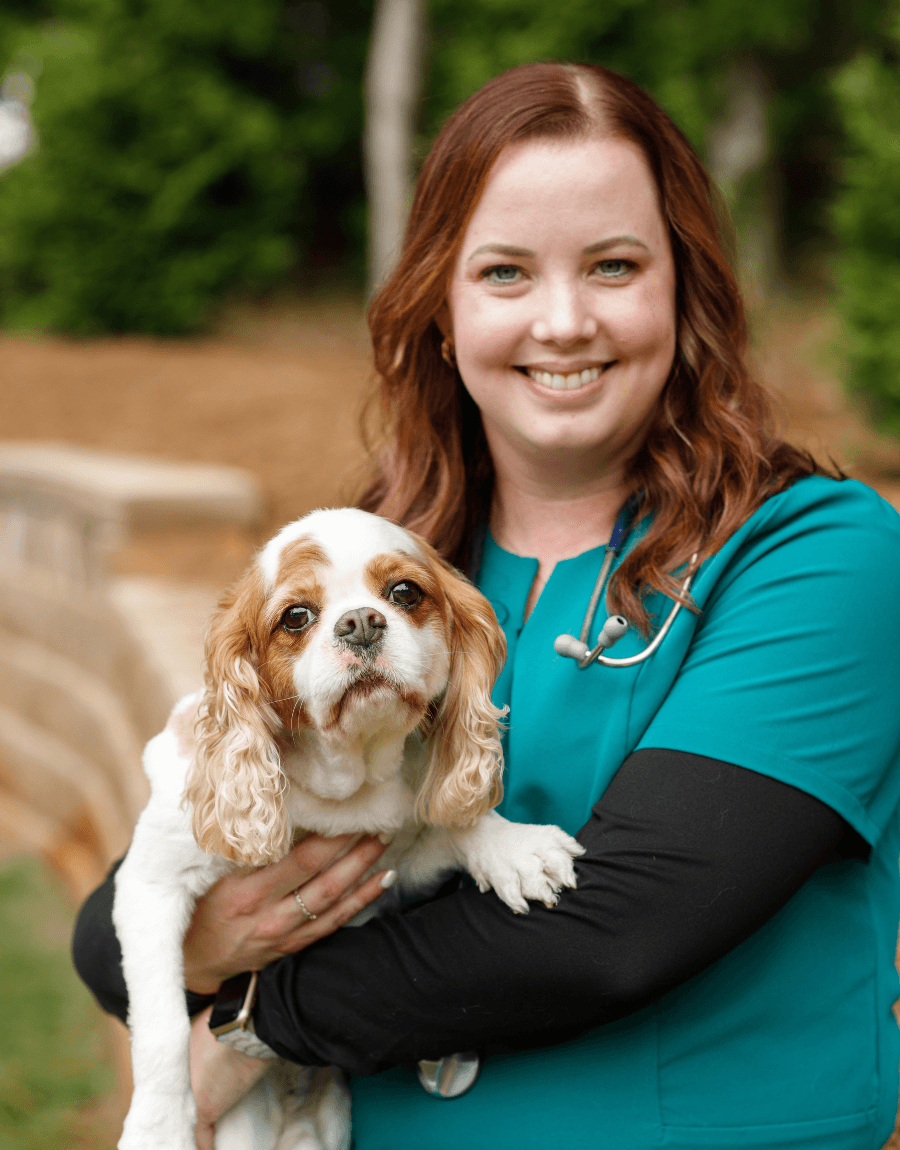 Dr. Rachel Yates Dr. Rachel Yates