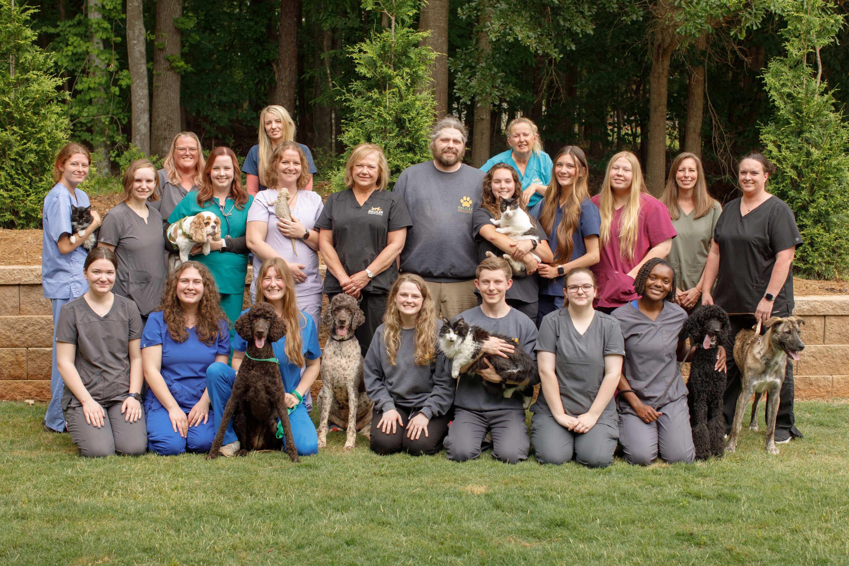group team image Galilee Veterinary Hospital group-team