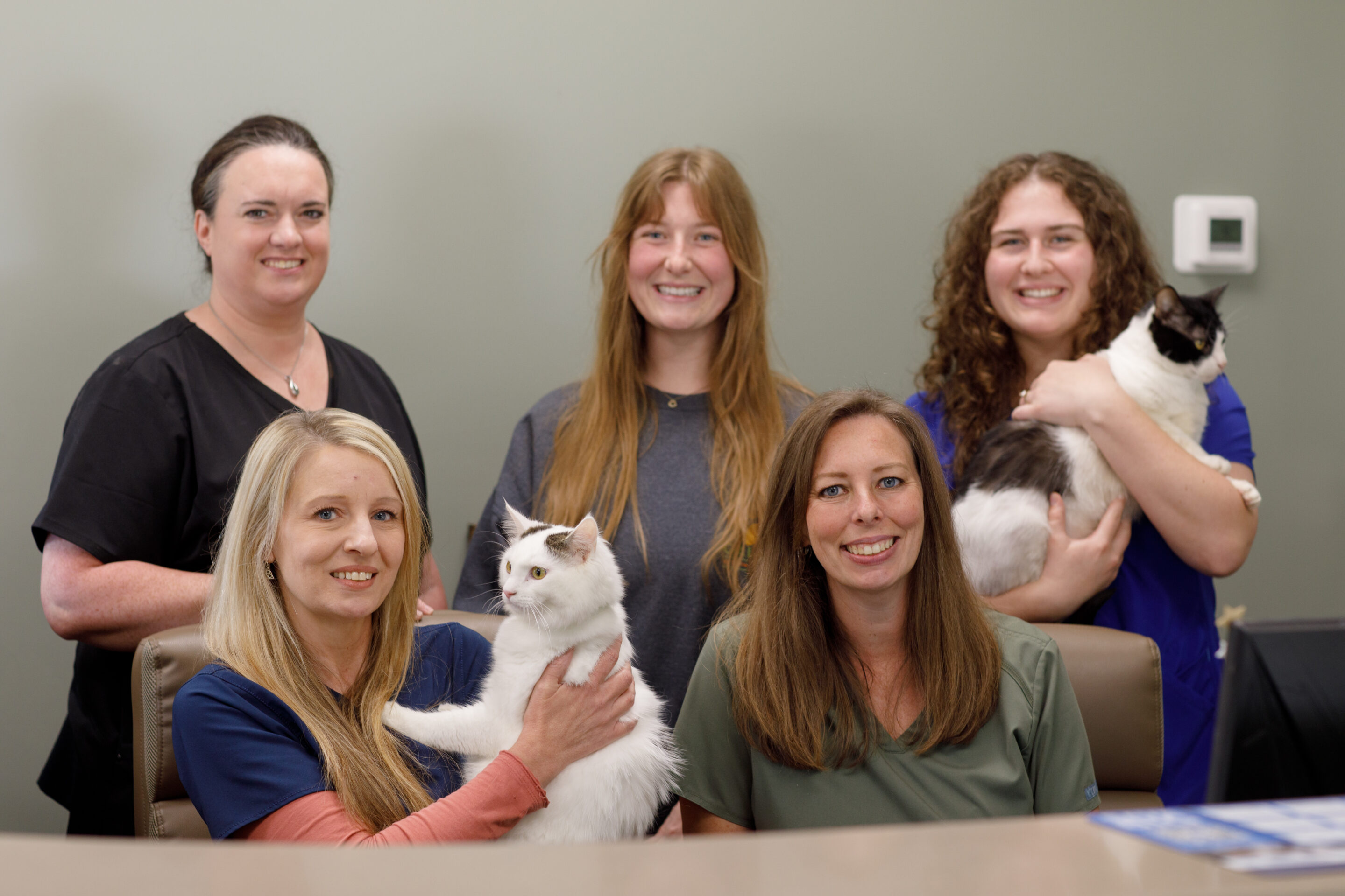 Galilee Veterinary Hospital Team